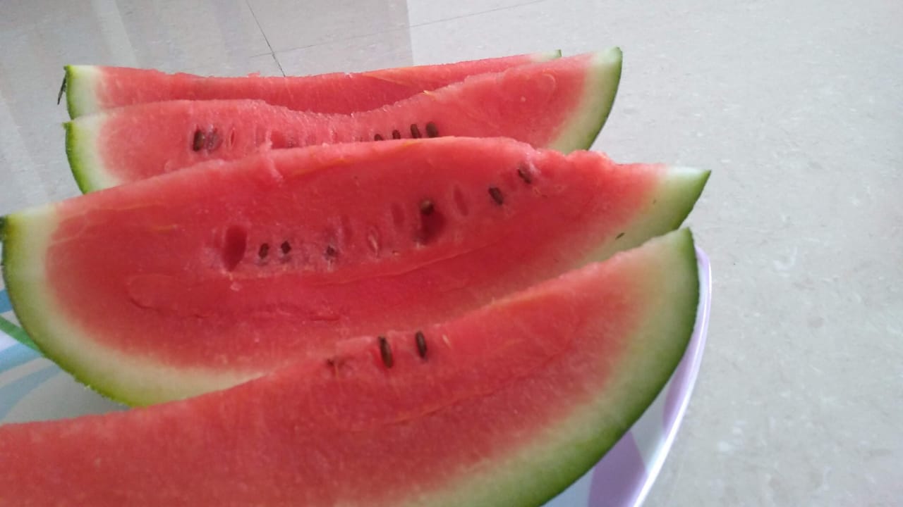 Beat Summer and Sunburn through Foods, Fruits and Diet