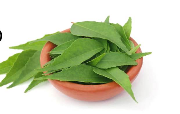 Health and Medicinal Benefits of Curry Leaves for Hair Loss and Hair Fall