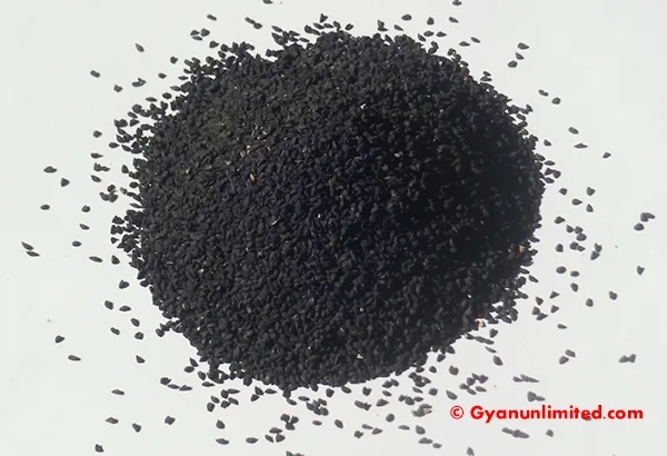 Health Benefits of Black Seed (Kalonji Oil) for Gynecological Diseases