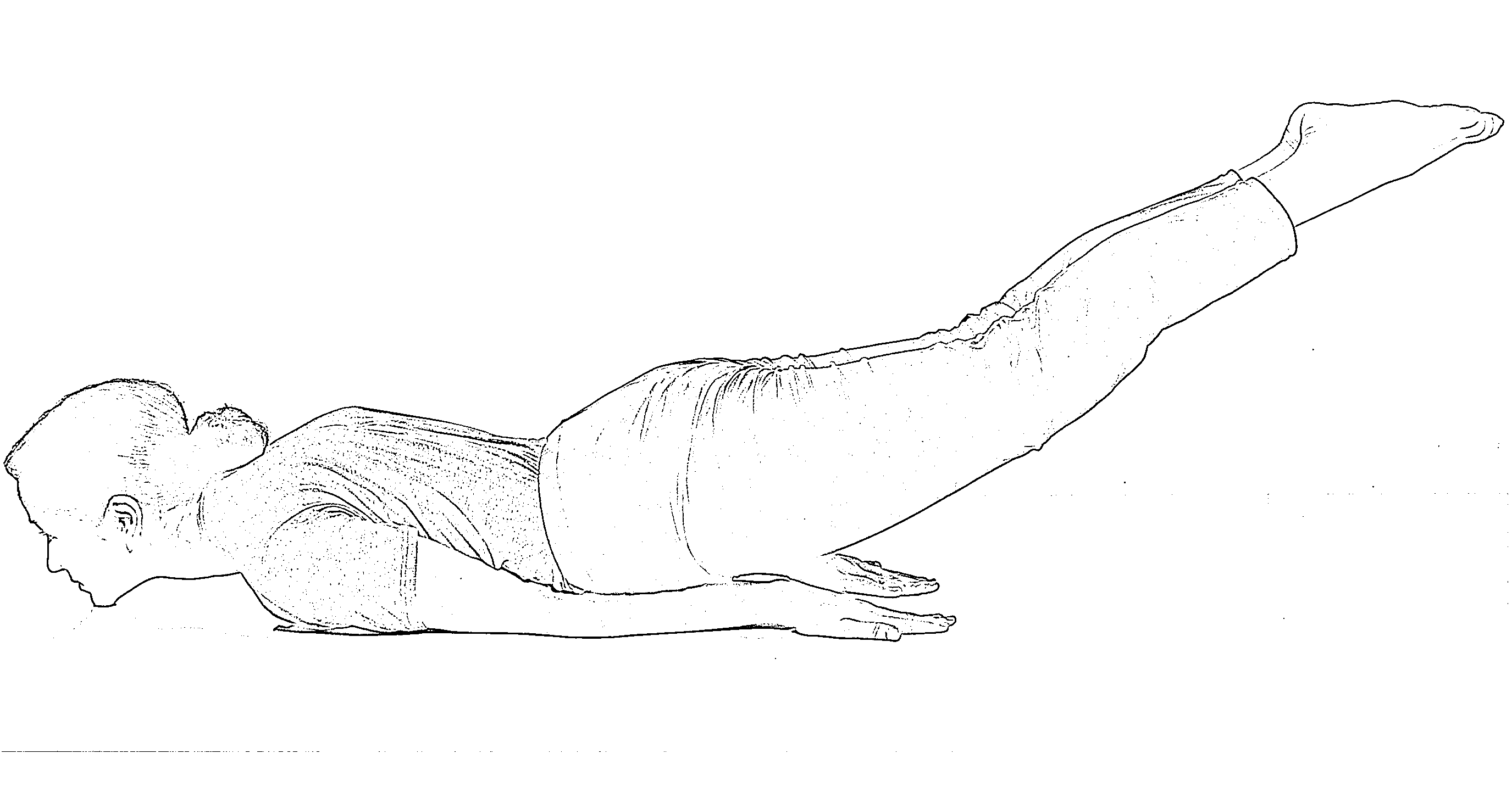Salabhasana Drawing Salabhasana Drawing