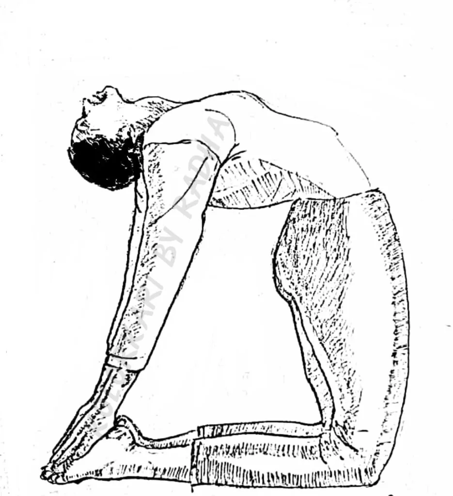 Yoga poses for thyroid health management — woman practicing Sarvangasana