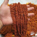 Amazing Health and Medicinal Benefits of Rudraksha