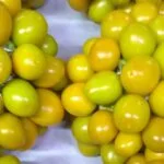 Amazing Health Benefits and Medicinal Uses of Rasbhari (Cape gooseberry)