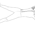 15 Yoga Poses to Treat Muscle Spasms and Cramps Cure