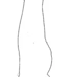 Headstand Yoga Pose (Sirsasana) Steps, Benefits and Precautions