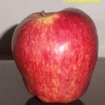 9 Wonder Health Benefits Of Eating An Apple
