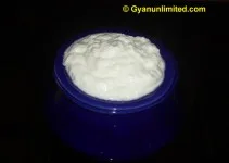 Diet for Hair Loss and Hair Fall, Foods for Shining Hair