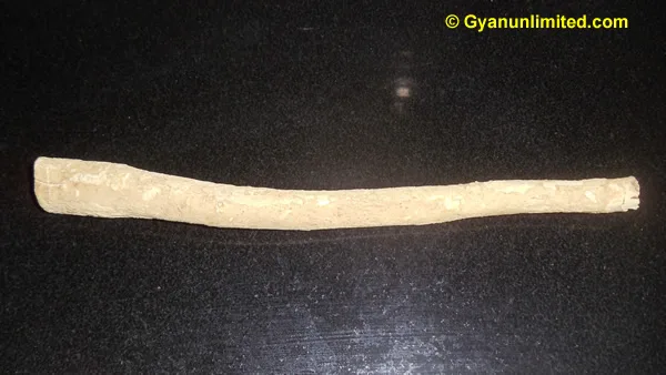 Miswak prevents plaque and gingivitis