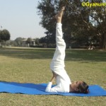 Sarvangasana (Shoulder Stand Yoga Pose) Steps, Benefits and Precautions