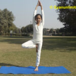Vrikshasana (Tree Pose Yoga) Steps, Health Benefits and Precautions