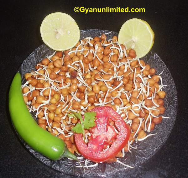 Sattvic Food example