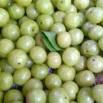 Top 10 Medicinal and Health Benefits of Amla or Indian Gooseberry