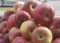 8 Natural Foods for Healthy Heart and Cardiac Health | Gyan Unlimited