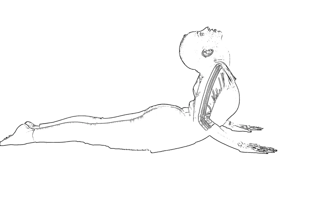Top 10 Best Health Benefits of Bhujangasana (Cobra Pose Yoga)