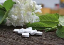 Homeopathic Medicines for Obesity and Overweight: A Complete Guide