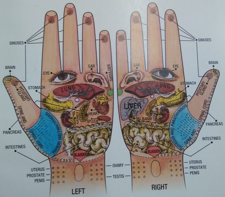 Know Reflex Points on Your Body from Toes to Head