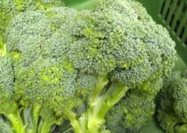 Top 9 Incredible Health Benefits Of Eating Broccoli
