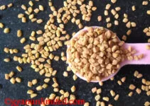 10 Amazing Health Benefits And Medicinal Uses Of Fenugreek (Trigonella foenum-graecum)