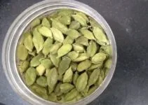 10 Research Based Health Benefits of Cardamom: Uses and Side Effects