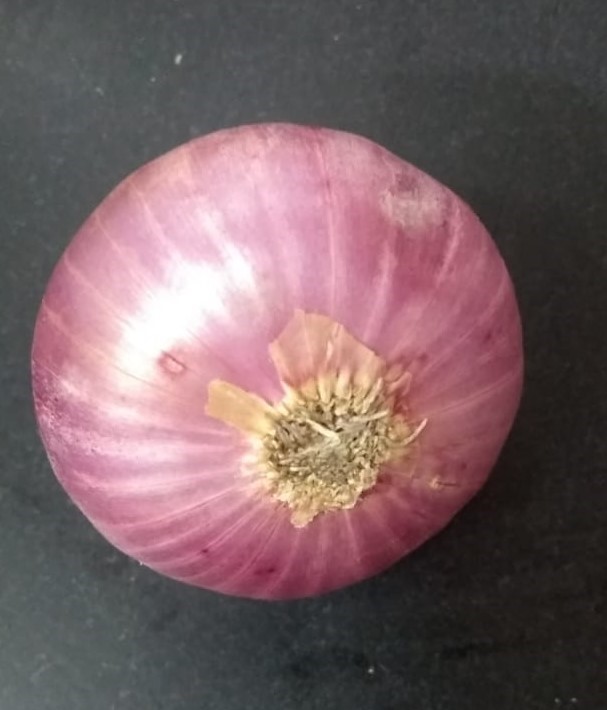 12 Wonder Benefits And Nutritional Facts Of Eating Onion (Allium cepa)