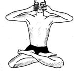 Bhramari Pranayama (Humming Bee) Steps, Benefits And Precautions