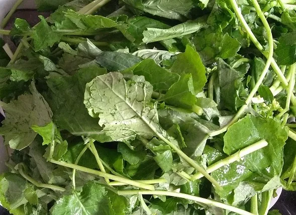 Wonder Nutritional Tips for Covid 19 and Pneumonia Patients