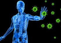 Top 10 Wonder Facts about Immunity to a Disease