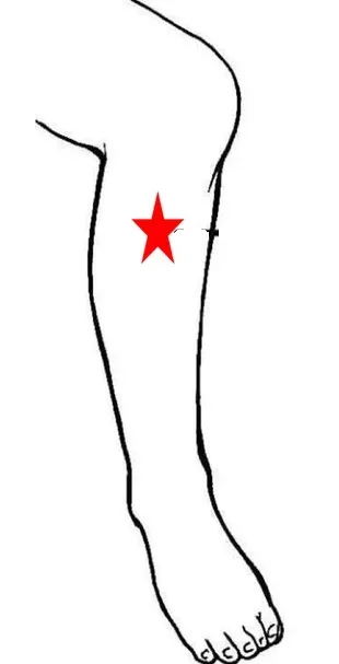 Acupressure points for weight loss — body and ear acupressure chart