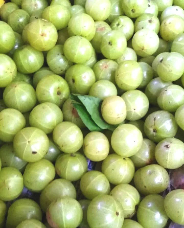 The Best 30 Medicinal Foods for You Need to Know