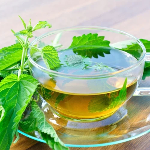 10 Wonder Health Benefits of Tulsi Tea (Ocimum sanctum)