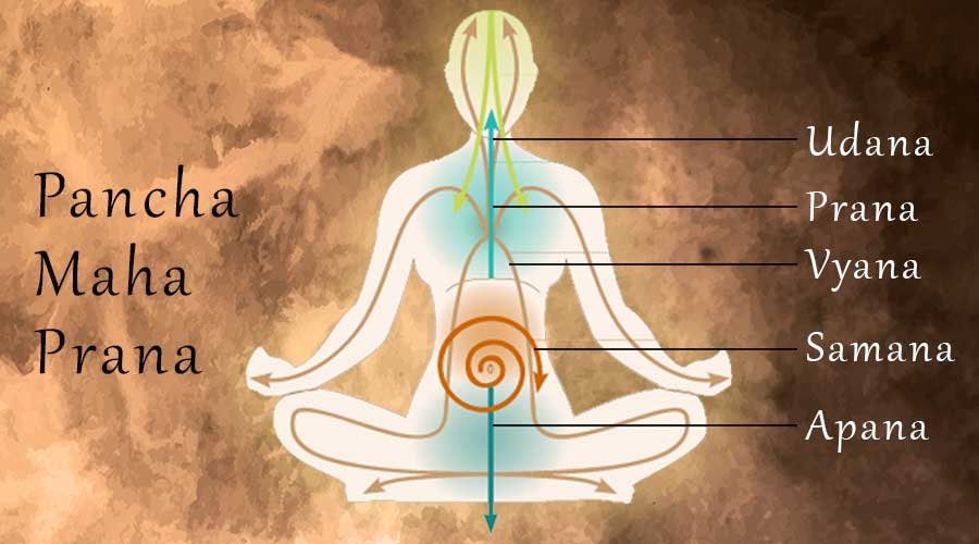 What is Prana Concept? Origin & Types of Prana Energy