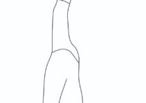 Standing Split Pose (Urdhva Prasarita Eka Padasana) Step by Step Instructions