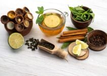 Kayakarpam: The Siddha Medicine Approach to Rejuvenation and Healthy Ageing